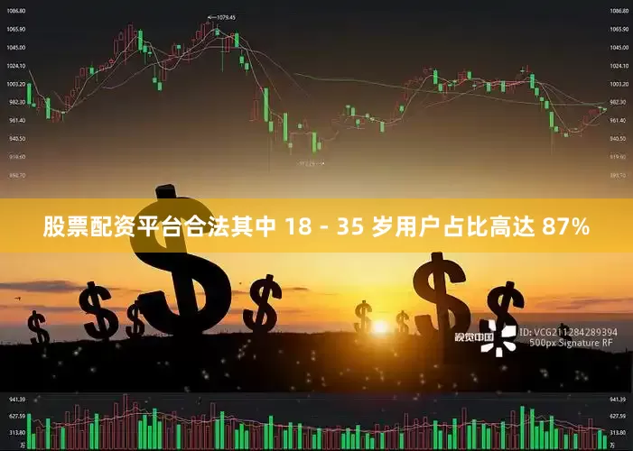 股票配资平台合法其中 18 - 35 岁用户占比高达 87%