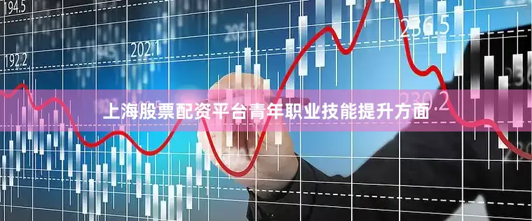 上海股票配资平台青年职业技能提升方面