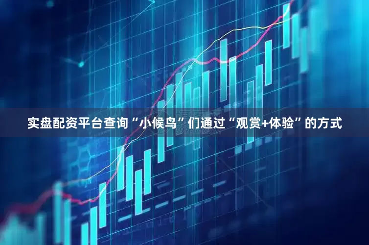 实盘配资平台查询“小候鸟”们通过“观赏+体验”的方式