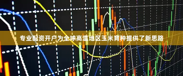 专业配资开户为全球高温地区玉米育种提供了新思路